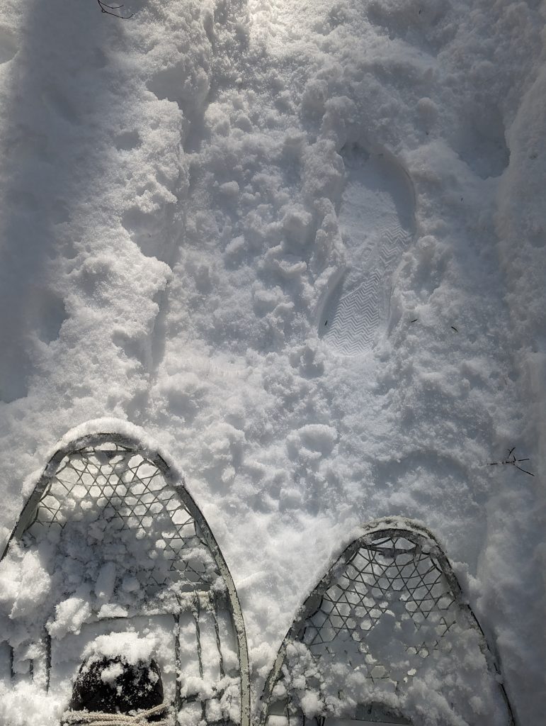 young adult activities snowshoe